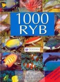 kolektiv autorů: 1000 ryb - Svojtka