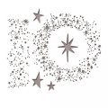 neuveden: SIZZIX Thinlits vyřezávací kovové šablony - zasnežené hvězdy 6 ks