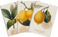 -: Sada tří notýsků - Lemons