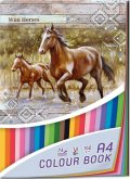 neuveden: Blok barevných papírů A4 Wild horses