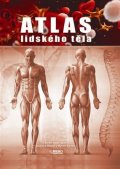 Vigué Jordi: Atlas lidského těla