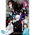 neuveden: Tokyo Ghoul: Re Plakát Maxi 91,5 x 61 cm