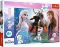 neuveden: Trefl Puzzle Frozen 2 - Kouzelný čas / 300 dílků