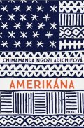Ngozi Adichie Chimamanda: Amerikána
