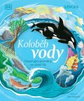 neuveden: Koloběh vody - Fascinující proměny ve vodní říši