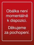 Kuncová Martina: Techniky projektového řízení a finanční analýza projektů