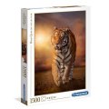 neuveden: Puzzle Tygr 1500 dílků