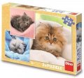 neuveden: Puzzle Roztomilá koťátka 3x55 dílků