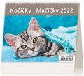 neuveden: Kalendář stolní 2022 - MiniMax Kočičky/Mačičky