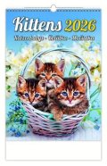 neuveden: Kalendář nástěnný 2026 - Kittens/Katzenbabys/Koťátka/Mačičky