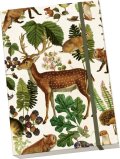-: Notýsek Forest Animals