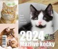 neuveden: Kalendář 2024 Mazlivé kočky, stolní, týdenní, 150 X 130 mm