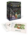 Gheorghe Ebony: Enchanted Foraging Deck: 50 Plant Identification Cards to Discover Nature´s