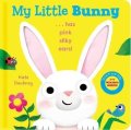 Kate Daubney: This Little Bunny (Touch & Feel CBB)