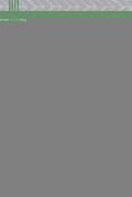 Fisher David: Self-Healing Concrete (Materials Research Foundations)