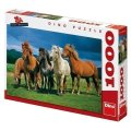 neuveden: Islandští koně - Puzzle 1000 dílků