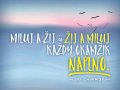 Chinmoy Sri: Plechová cedulka - Miluj a žij a žij a miluj každý okamžik naplno