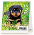 neuveden: Kalendář stolní 2022 - Mini Puppies