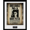 neuveden: Harry Potter Zarámovaný plakát - Nežádoucí č. 1