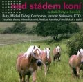neuveden: Hvězdy jako hvězdy CD