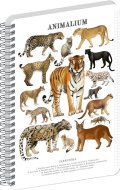 : Spirálový blok Animalium - Kočkovité šelmy, čtverečkovaný, A5