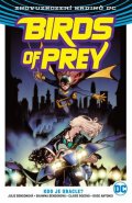 Bensonová Julie: Birds of Prey 1 - Kdo je Oracle?