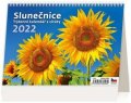 neuveden: Kalendář stolní 2022 - Slunečnice