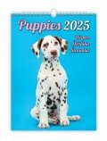 neuveden: Kalendář nástěnný 2025 - Puppies / Welpen / Štěňátka / Šteniatka