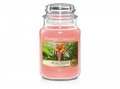neuveden: YANKEE CANDLE The Last Paradise svíčka 623g