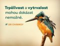 Chinmoy Sri: Magnet na lednici Trpělivost a vytrvalost