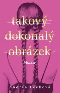 : Takový dokonalý obrázek