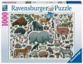 neuveden: Puzzle Atlas divokých zvířat 1000 dílků