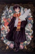 neuveden: Harry Potter zápisník A5 - Harry Potter