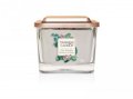 neuveden: YANKEE CANDLE Exotic Bergamot svíčka 347g, 3 knoty