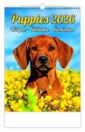 neuveden: Kalendář nástěnný 2026 - Puppies/Welpen/Štěňátka/Šteniatka