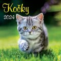 neuveden: Kalendář 2024 Kočky, nástěnný