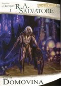 Salvatore R. A.: Legenda o Drizztovi 1 - Domovina