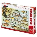 neuveden: Ryby - puzzle 1000 dílků