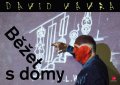 Vávra David: Běžet s domy