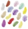 neuveden: Dekorativní peříčka Marabu mix - pastelové barvy 15 ks / 5 cm
