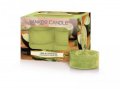 neuveden: YANKEE CANDLE Lime & Coriander svíčka 9,8g čajová 12ks