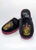 neuveden: Harry Potter Bačkory pánské - Nebelvír (42-45)