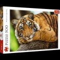 neuveden: Trefl Puzzle Tygří portrét / 500 dílků