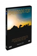 neuveden: Země Kadidlové stezky 2 DVD