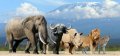 neuveden: Pohlednice 3D The Big Five