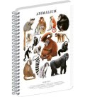 : Spirálový blok Animalium - Primáti, čtverečkovaný, A4