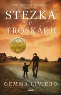 Liviero Gemma: Stezka v troskách