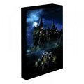 neuveden: Harry Potter obraz LED svítící 30x40 cm - Bradavice