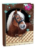 neuveden: Box na sešity A4 - Sweet Horse/s klopou