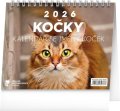neuveden: Kalendář 2026 stolní: Kočky - se jmény koček, 16,5 x 13 cm